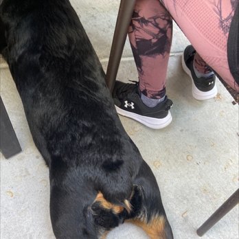 What's Crackin Cafe - Puppy Friendly !!! Yay! - Breakfast & Brunch Near Me - Mesa, Arizona