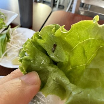Pho Gabo - Noodles Near Me - Happy Valley, Oregon Pho Gabo - Noodles Near Me - Happy Valley, Oregon