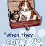 Photo of The Pet Nanny