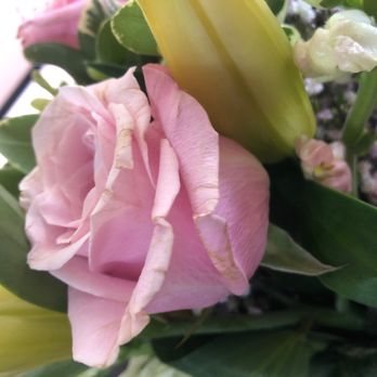 Conroy's Flowers - Encino - Florists Near Me - Encino, California Conroy's Flowers - Encino - Florists Near Me - Encino, California