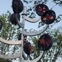 Photo of Harmony Tree