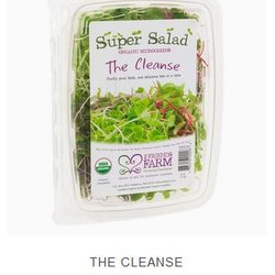 2 Friends Farm - Organic Salad Mixes