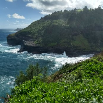 Kilauea Point - Wildlife Control Near Me - Kilauea, Hawaii Kilauea Point - Wildlife Control Near Me - Kilauea, Hawaii