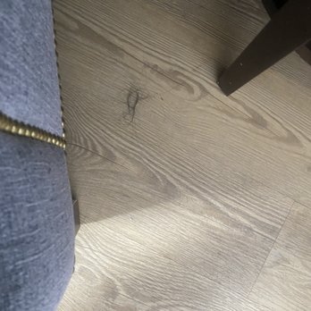 Best Western Mountain View Inn - Hair on floor of pet room, at check-in - Hotels Near Me - Springville, Utah Best Western Mountain View Inn - Hair on floor of pet room, at check-in - Hotels Near Me - Springville, Utah