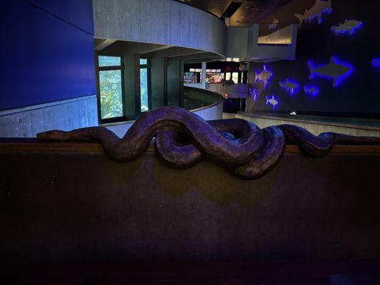 New England Aquarium by null New England Aquarium by null