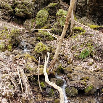Highlands Nature Sanctuary - Hiking Near Me - Bainbridge, Ohio