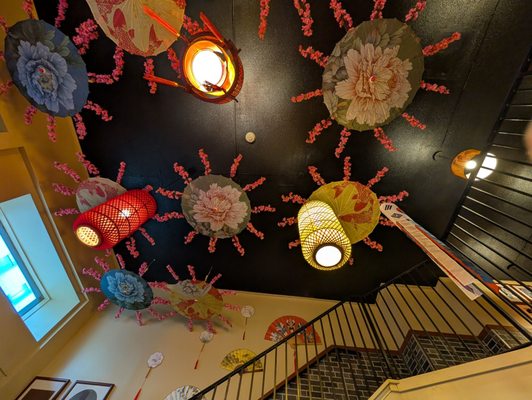 Seoul Beak Ban by null