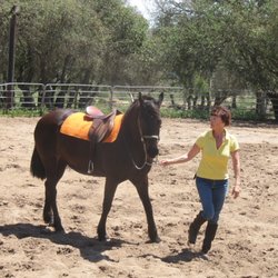 Summit Oaks Ranch - Ready to ride.