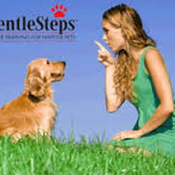 Pet Stop Fence Systems by South Carolina Dog Fence
