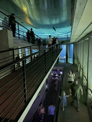 National Aquarium by null