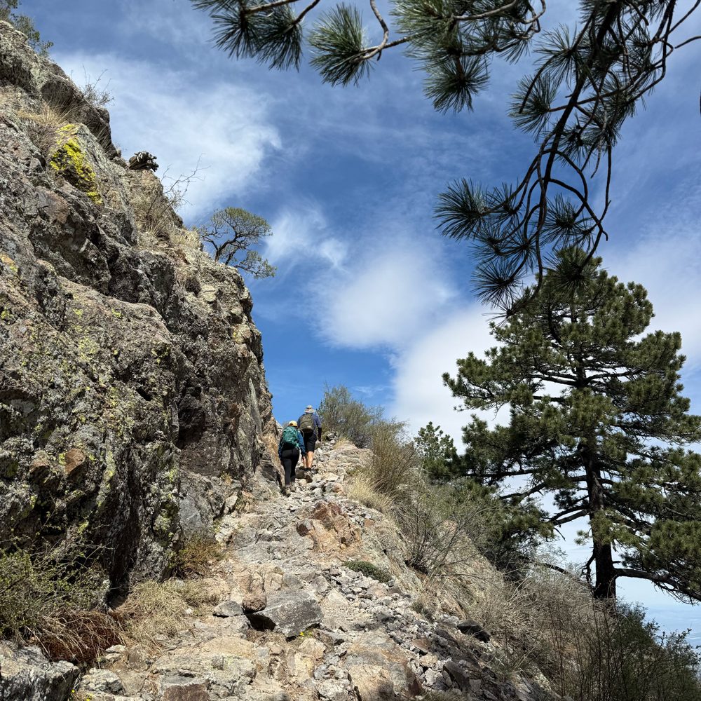 Mount Wrightson Picnic Area - Last mile of Old Baldy trail - Hiking Near Me - Madera Canyon, Arizona