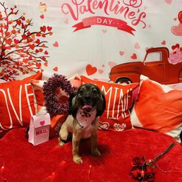 Cash's valentine picture! Cash's valentine picture!