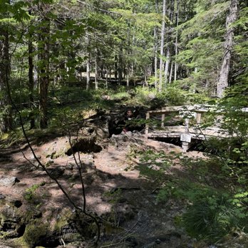 TRAIL OF TWO FORESTS INTERPRETIVE SITE - Updated February 2026
