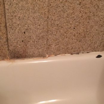 Quality Inn - Bathroom shower disgusting so much mold - Hotels Near Me - Barrie, Ontario Quality Inn - Bathroom shower disgusting so much mold - Hotels Near Me - Barrie, Ontario