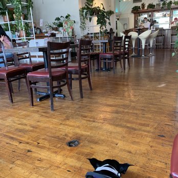 Lost Parrot Cafe - The cafe interior - Breakfast & Brunch Near Me - South Pasadena, California Lost Parrot Cafe - The cafe interior - Breakfast & Brunch Near Me - South Pasadena, California