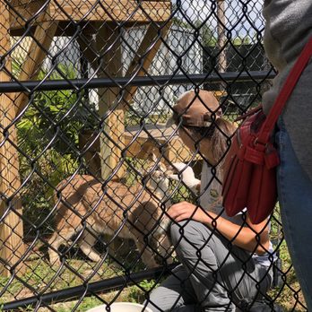 Panther Ridge Conservation Center - Zoos Near Me - Loxahatchee, Florida Panther Ridge Conservation Center - Zoos Near Me - Loxahatchee, Florida