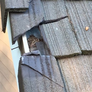 Specialized Exteriors - We have a large inventory of out of production tile to service your roof's needs - Roofing Near Me Specialized Exteriors - We have a large inventory of out of production tile to service your roof's needs - Roofing Near Me