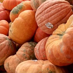 Lil Brian's Produce Market - Decorative pumpkins