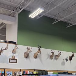 Sportsman's Warehouse
