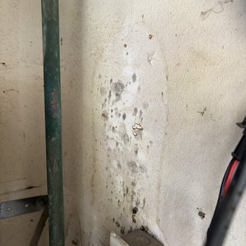 JC Handyman - Mold in the water heater - Handyman Near Me JC Handyman - Mold in the water heater - Handyman Near Me