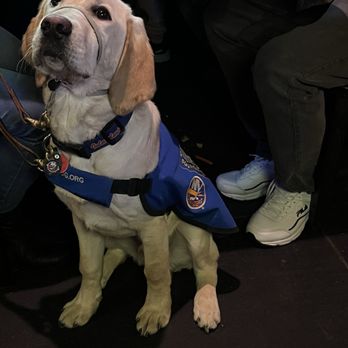 Texas Roadhouse - Butchie the dog off the Islanders - Steakhouses Near Me - Selden, New York Texas Roadhouse - Butchie the dog off the Islanders - Steakhouses Near Me - Selden, New York