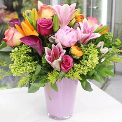 Boston Blooms