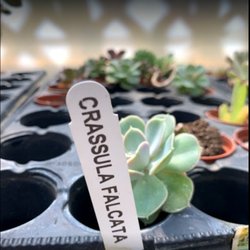Green Outdoors Landscaping & Nursery