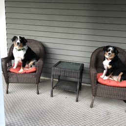 Hotel Security provided by LInda's dogs, Zeus & Zebra. Friendly & fun. Hotel Security provided by LInda's dogs, Zeus & Zebra. Friendly & fun.