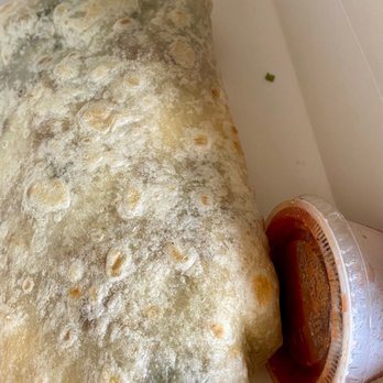 Orphan - Breakfast burrito - Breakfast & Brunch Near Me - Sacramento, California Orphan - Breakfast burrito - Breakfast & Brunch Near Me - Sacramento, California