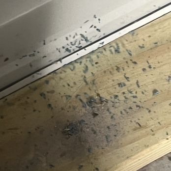 Central PA Self Storage - Mice droppings - Self Storage Near Me - Duncannon, Pennsylvania