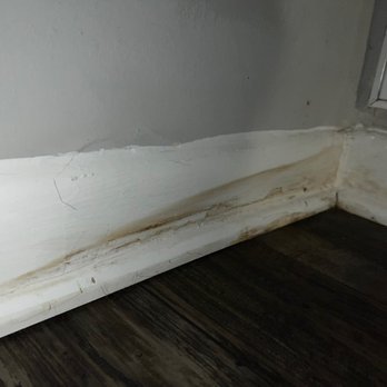 Dale Forest Apartments - Mold again form april of this year after they supposedly fixed the issue the month before - Apartments Near Me - Dale City, Virginia Dale Forest Apartments - Mold again form april of this year after they supposedly fixed the issue the month before - Apartments Near Me - Dale City, Virginia