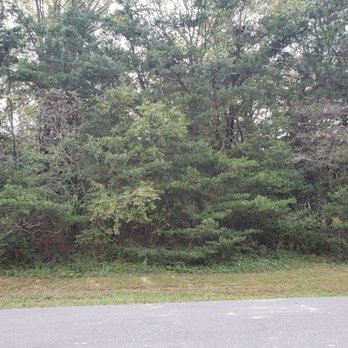 Monkey's in Trees - Tree Services Near Me Monkey's in Trees - Tree Services Near Me