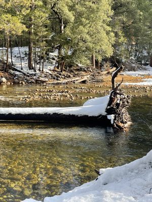 Upper Pines Campground by null