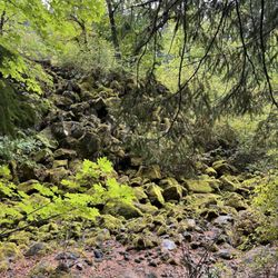 Tamolitch Blue Pools - Mossy rocks