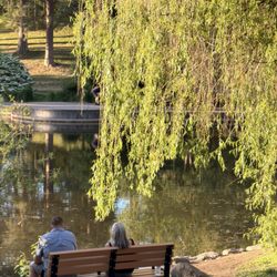 Manito Park and Botanical Gardens - 5/22/26