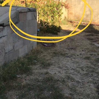Rojas Gardening Services - Before photos - Landscaping Near Me Rojas Gardening Services - Before photos - Landscaping Near Me