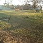 Photo of Elizabeth Cleland Cauley Dog Park