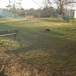 Elizabeth Cleland Cauley Dog Park - Running