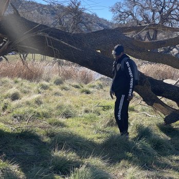 Horse Thief Park - Standing next to a fallen tree - Parks Near Me - Stallion Springs, California Horse Thief Park - Standing next to a fallen tree - Parks Near Me - Stallion Springs, California