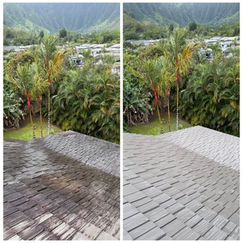 Apex Power Wash - Roof Soft Wash Low Pressure * No Damage Moss Treated The Right Way - Window Washing Near Me - Honolulu, Hawaii Apex Power Wash - Roof Soft Wash Low Pressure * No Damage Moss Treated The Right Way - Window Washing Near Me - Honolulu, Hawaii