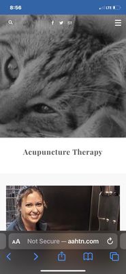 Avenue Animal Hospital