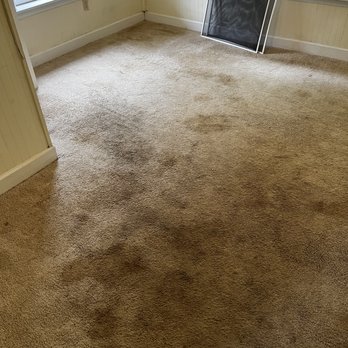 Skybird Cleaning - Office Cleaning Near Me Skybird Cleaning - Office Cleaning Near Me
