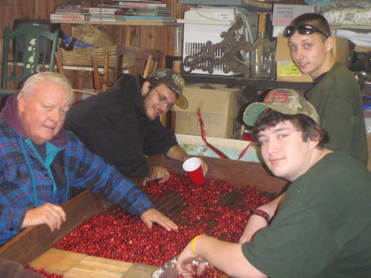 Cranberry Bog Tours by null