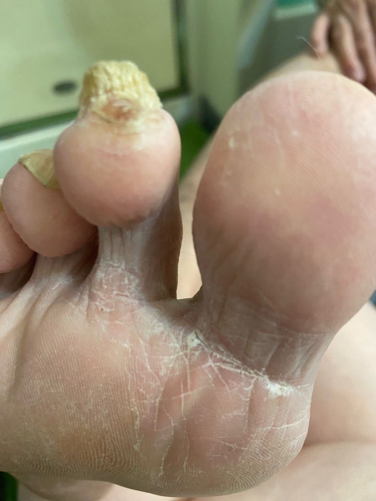 CUT N CLIP Updated April 2024 Request an Appointment 10 Photos