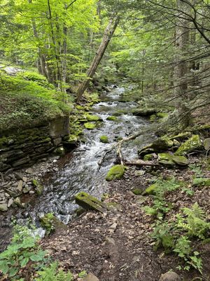 Kaaterskill Falls, Viewing Platform by null