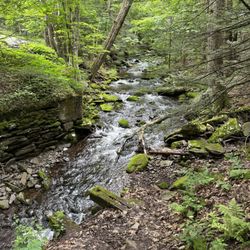 Kaaterskill Falls - View Of Stream