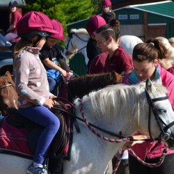 Anglesey Riding Centre