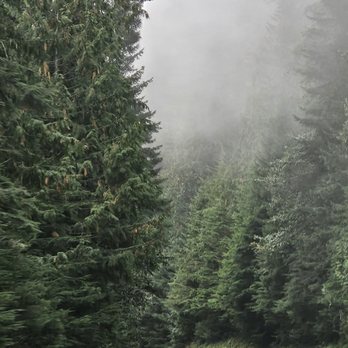 Olympic National Park - Parks Near Me - Port Angeles, Washington