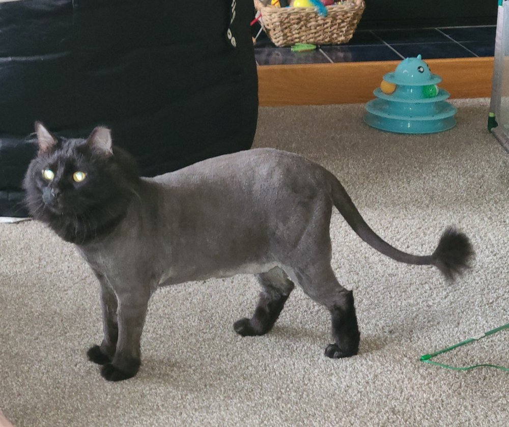 PET HEALTH CENTER OF SOLON Updated September 2024 200 Prairie Rose