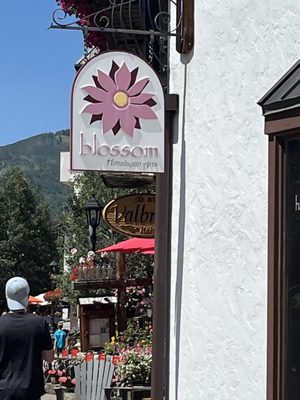 Blossom Himalayan Arts